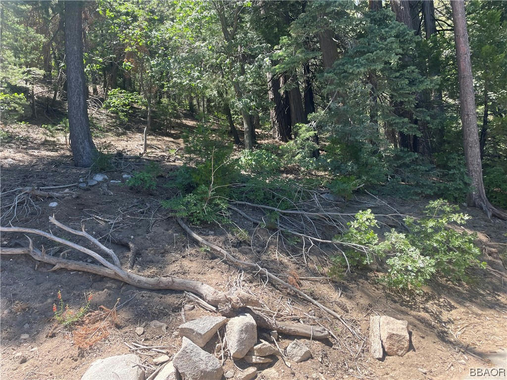 0000 STRAWBERRY PEAK ROAD, TWIN PEAKS, CA 92391, photo 1 of 2